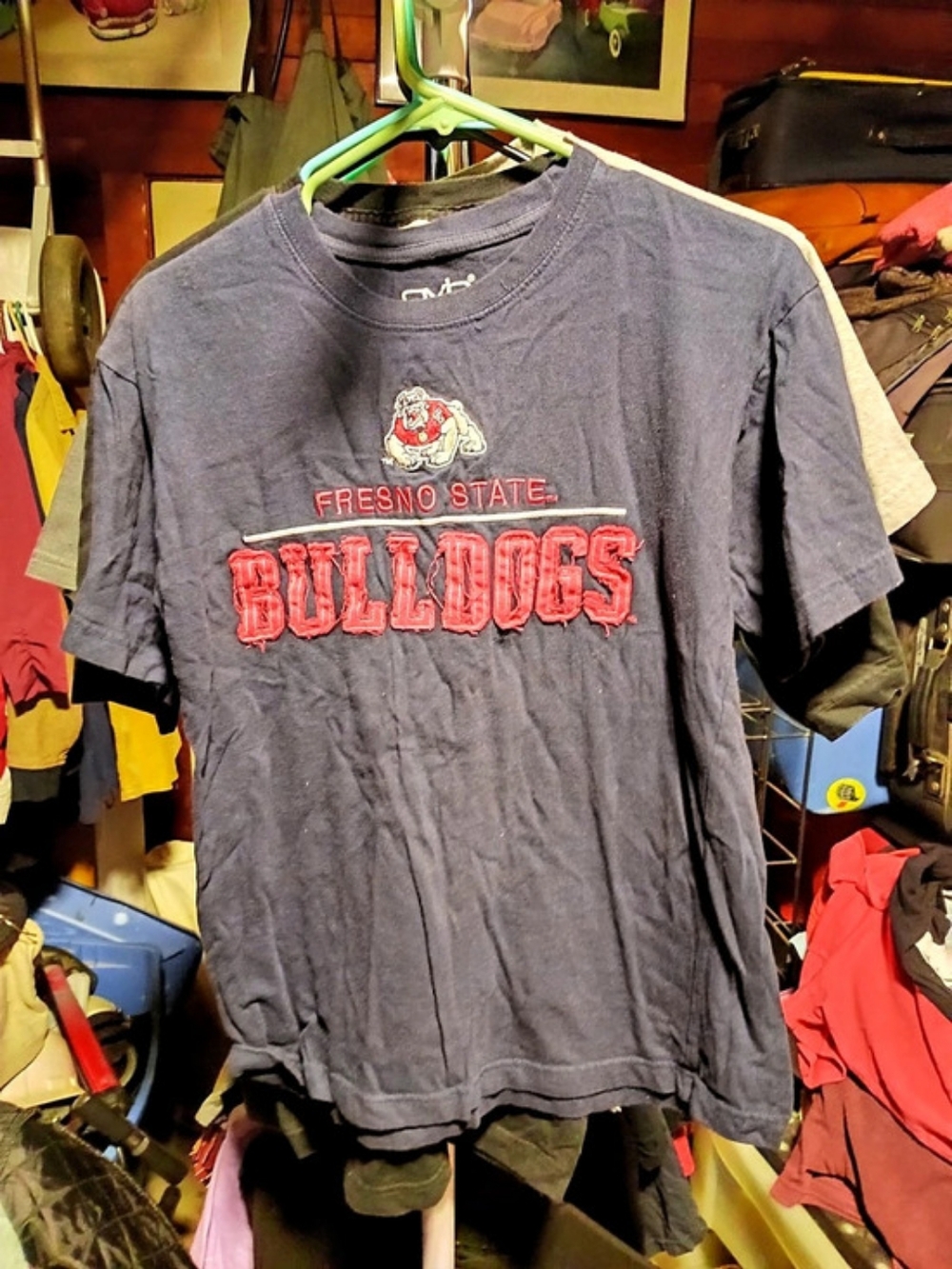 Fresno State Bulldogs Graphic Tee in Gray